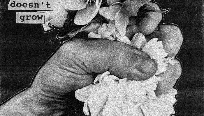 Softcult - When a Flower Doesn't Grow