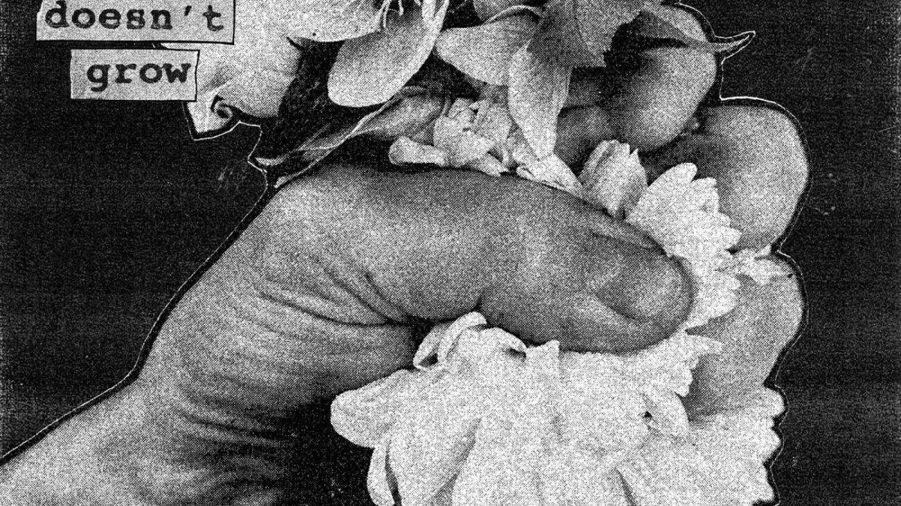 Softcult - When a Flower Doesn't Grow