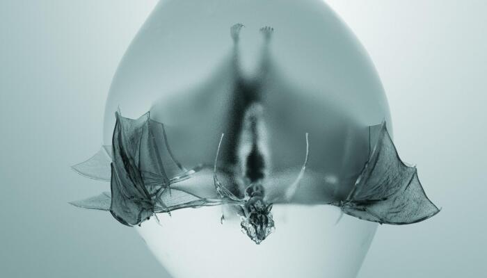 Unprocessed - Angel: Entre violence et techniques fines