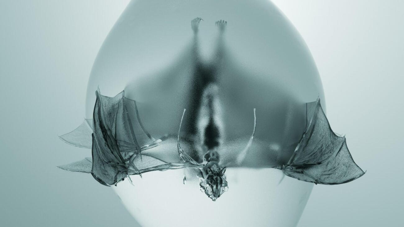 Unprocessed - Angel: Entre violence et techniques fines