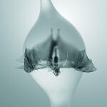 Unprocessed - Angel: Entre violence et techniques fines